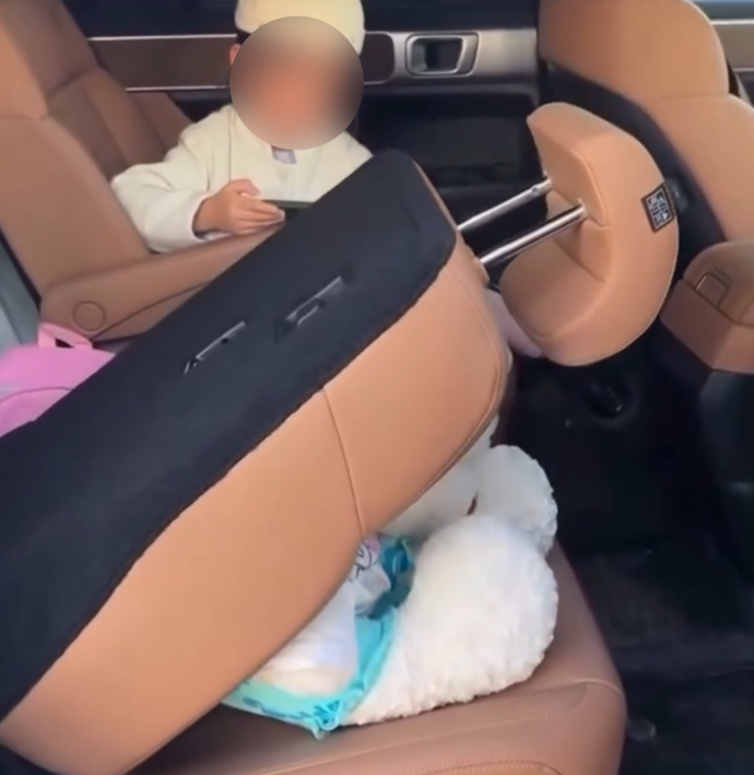 Kursi Elektrik Palisade Hybrid