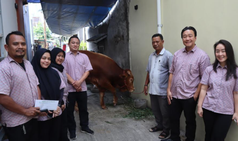 sapi